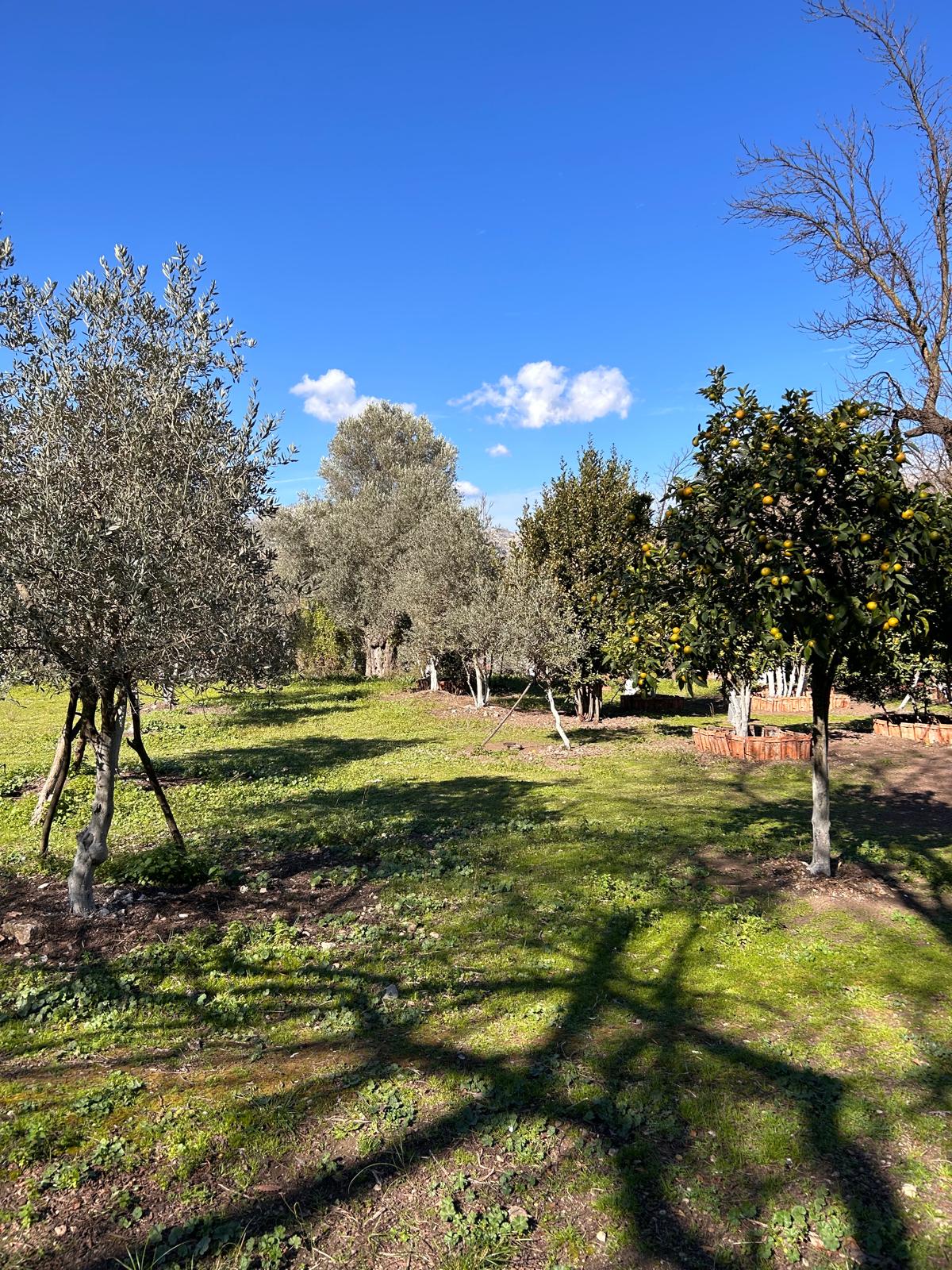 SATILIK 1.847 M2 ARSA VE İÇİNDE BİNA